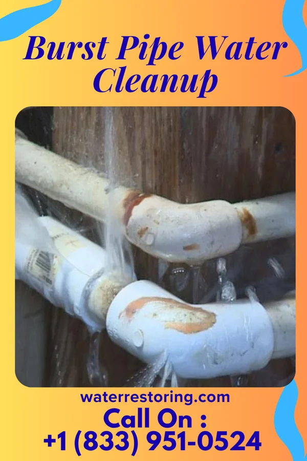 Burst Pipe Water Cleanup in Wamsutter, WY