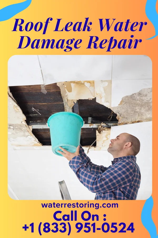 Roof Leak Water Damage Repair in Wamsutter, WY