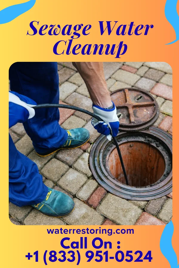 Sewage Water Cleanup in Wamsutter, WY